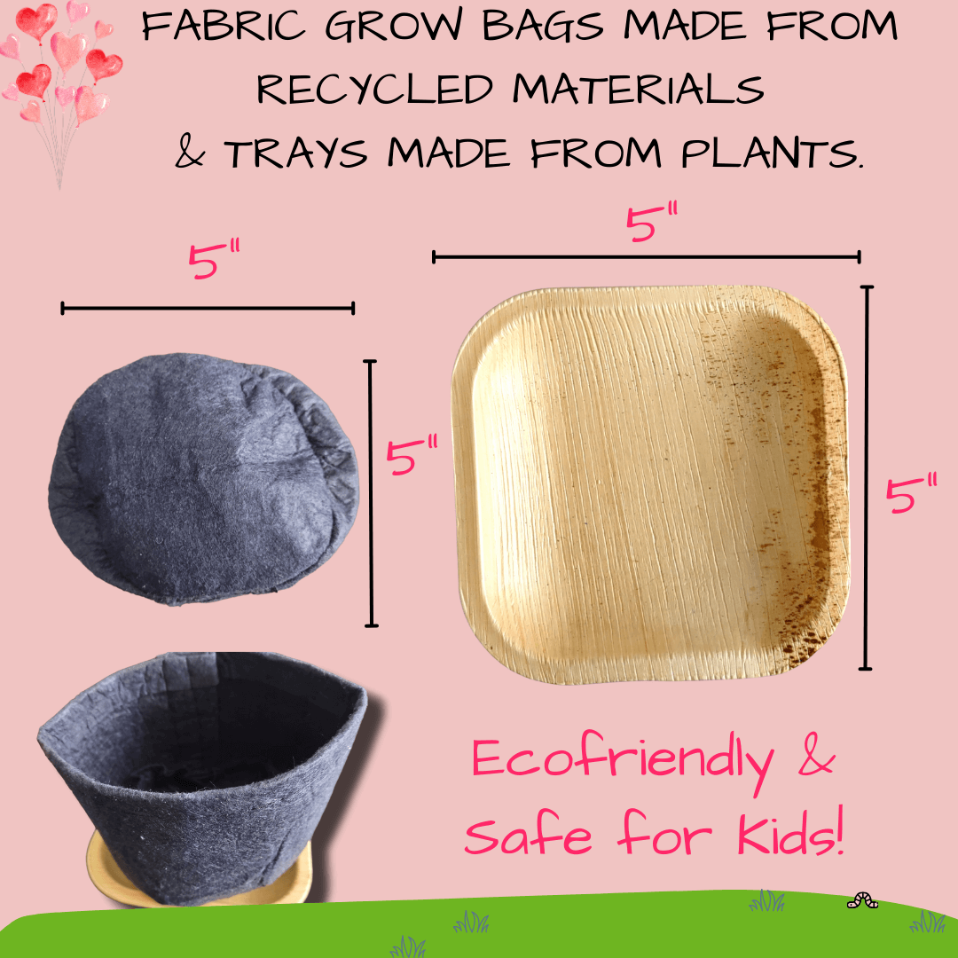 Love Bugs Kids Garden Kit