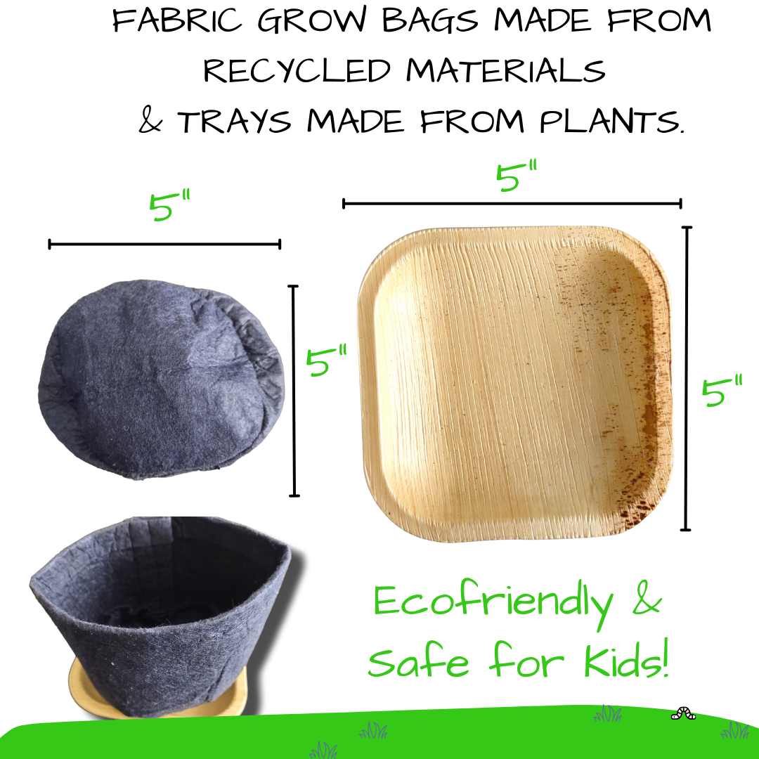 Garden Bugs Kids Craft Garden Kit
