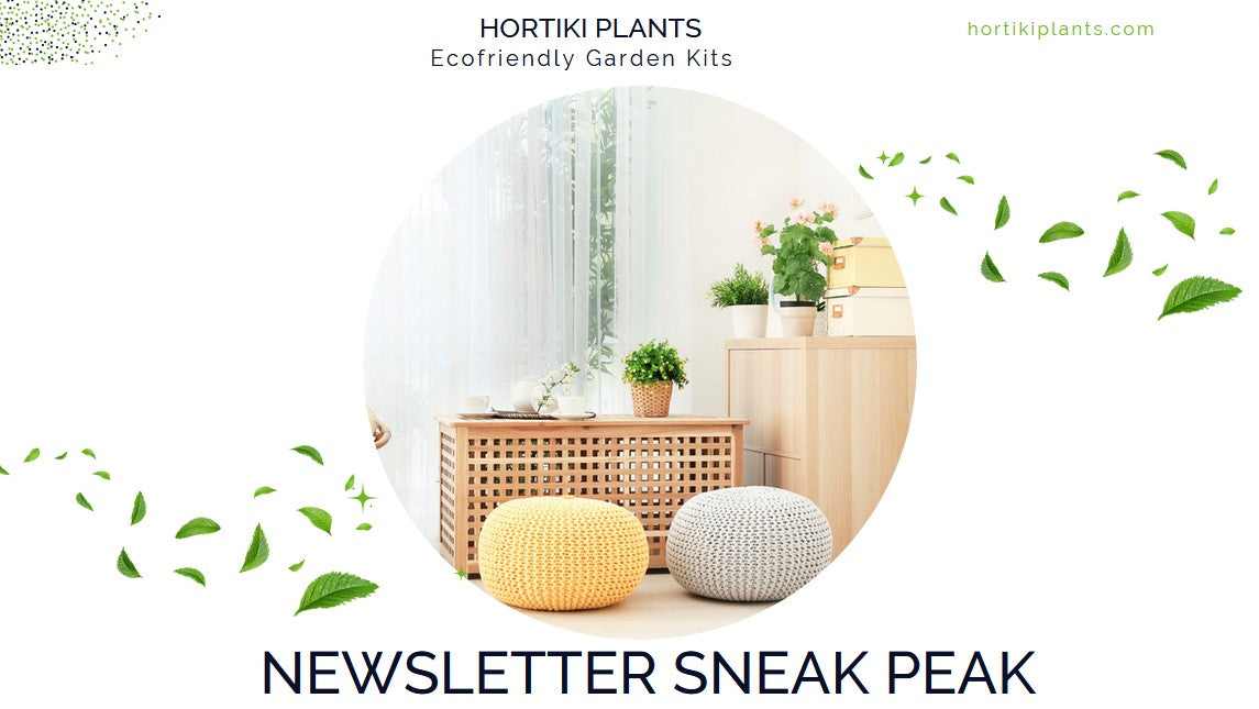 Load video: Screenshots of Hortiki Plants Newsletter. The Newsletter has alt text throughout to make it accessible.