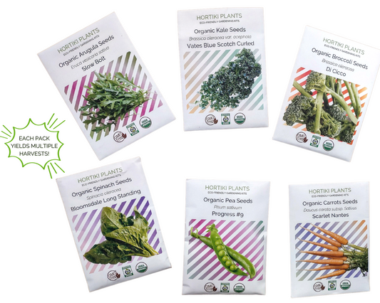 Healthy Start Organic Vegetable Seed Collection: Arugula, Spinach, Kale, Carrots, Broccoli, Peas