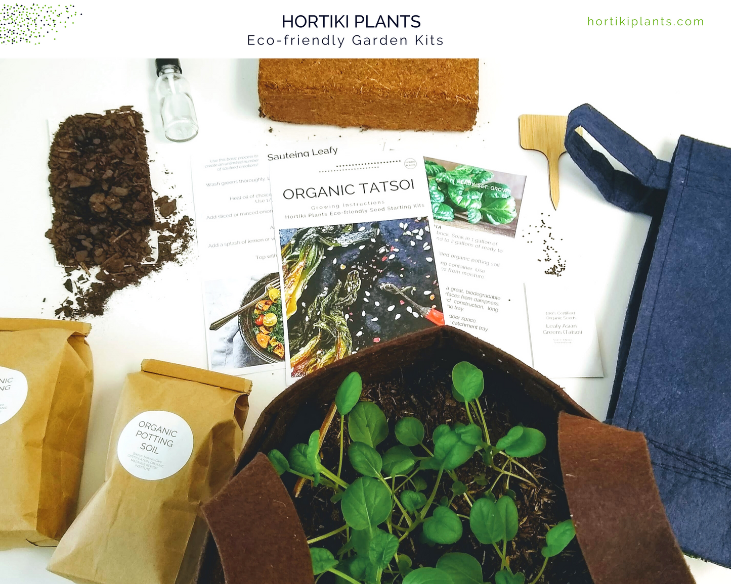 Organic Asian Tatsoi (Leafy Green) Garden Kit.