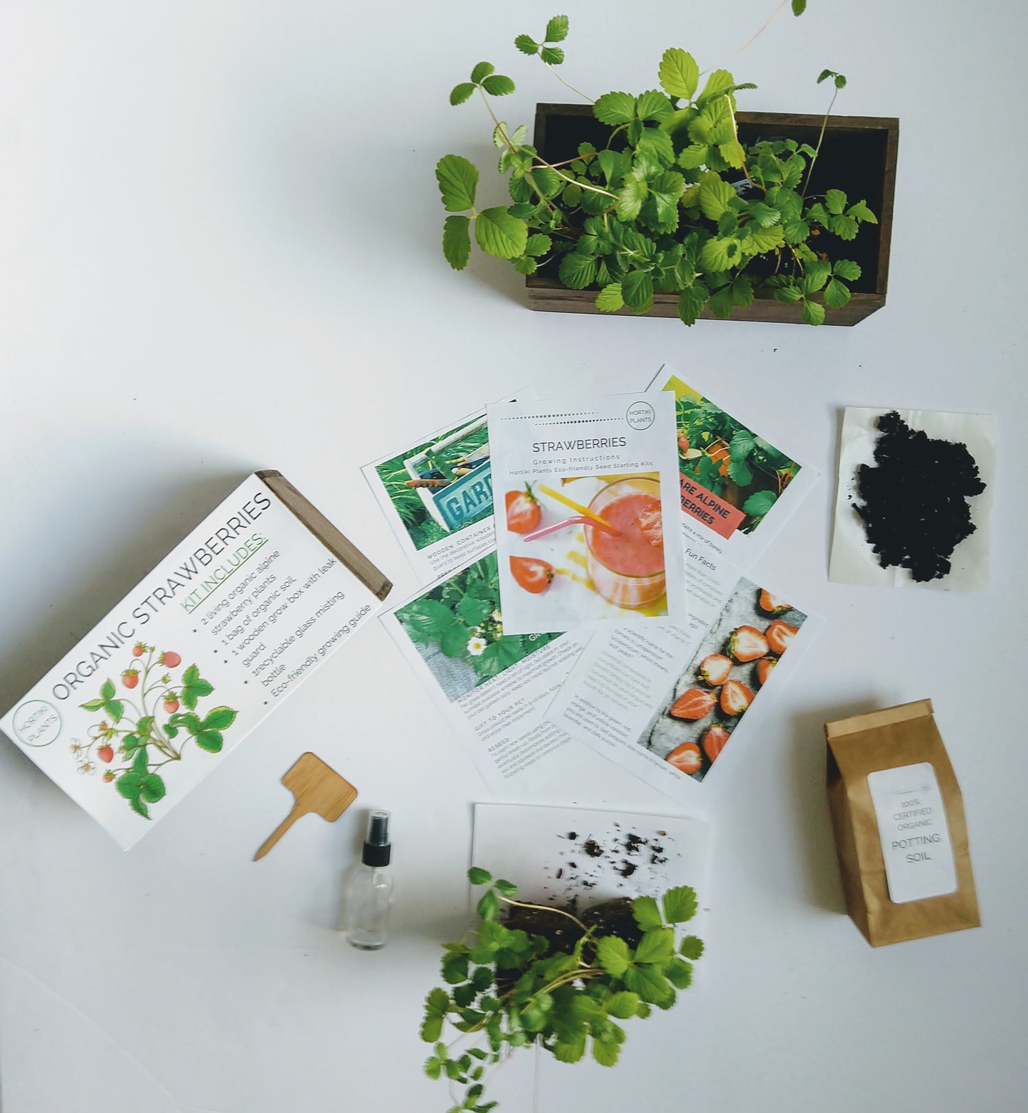 Organic Strawberry Kit (Live Strawberry Plants)