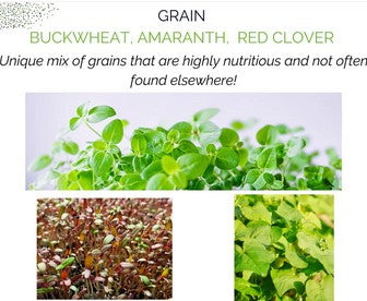 Seed Refill - Organic Microgreens Grain Collection