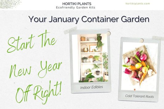 Your January Container Garden: Start The New Year Off Right!