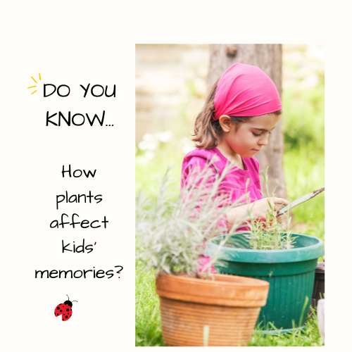 How Plants Improve Kids' Memory, Focus, and Attentiveness