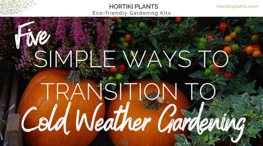 5 Simple Ways to Transition to Cold Weather Gardening