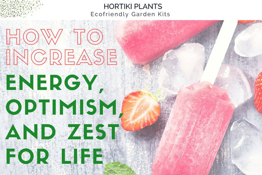 How to Increase Engergy, Optimism, and Zest for Life