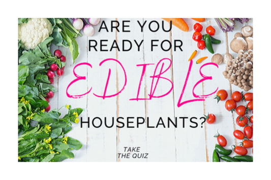 Vegetables, Edible Houseplants, Quiz