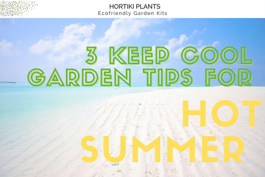 3 Keep Cool Garden Tips for Hot Summer