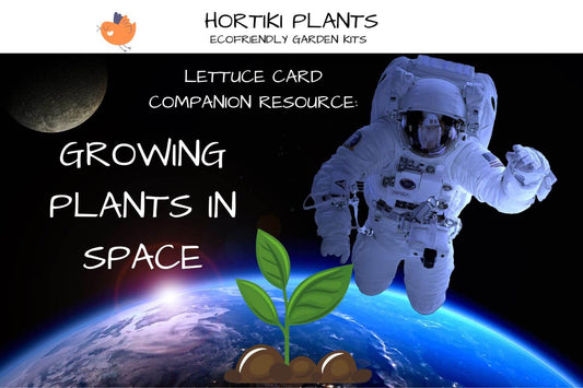 NASA Video: Systems to Grow Plants in Space