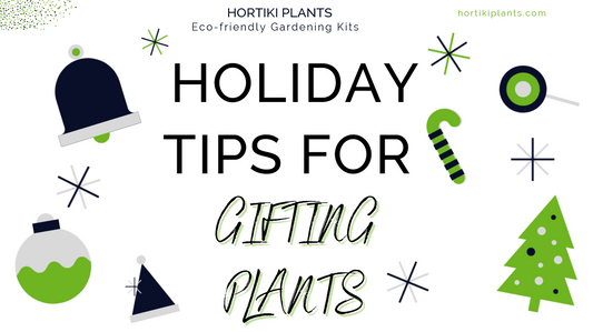 Holiday Tips for Gifting Plants