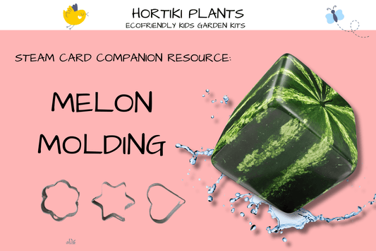 Sqaure melon. Title: melon molding