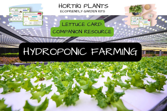 Hydroponic Farming Video Companion Resource