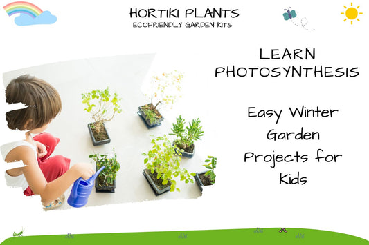 Learn Photosynthesis: Easy Winter Garden Projects for Kids