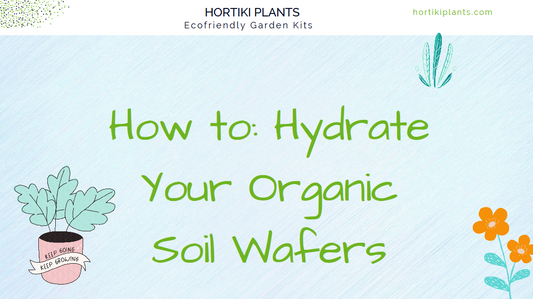 Soil Wafer Hydration Demo