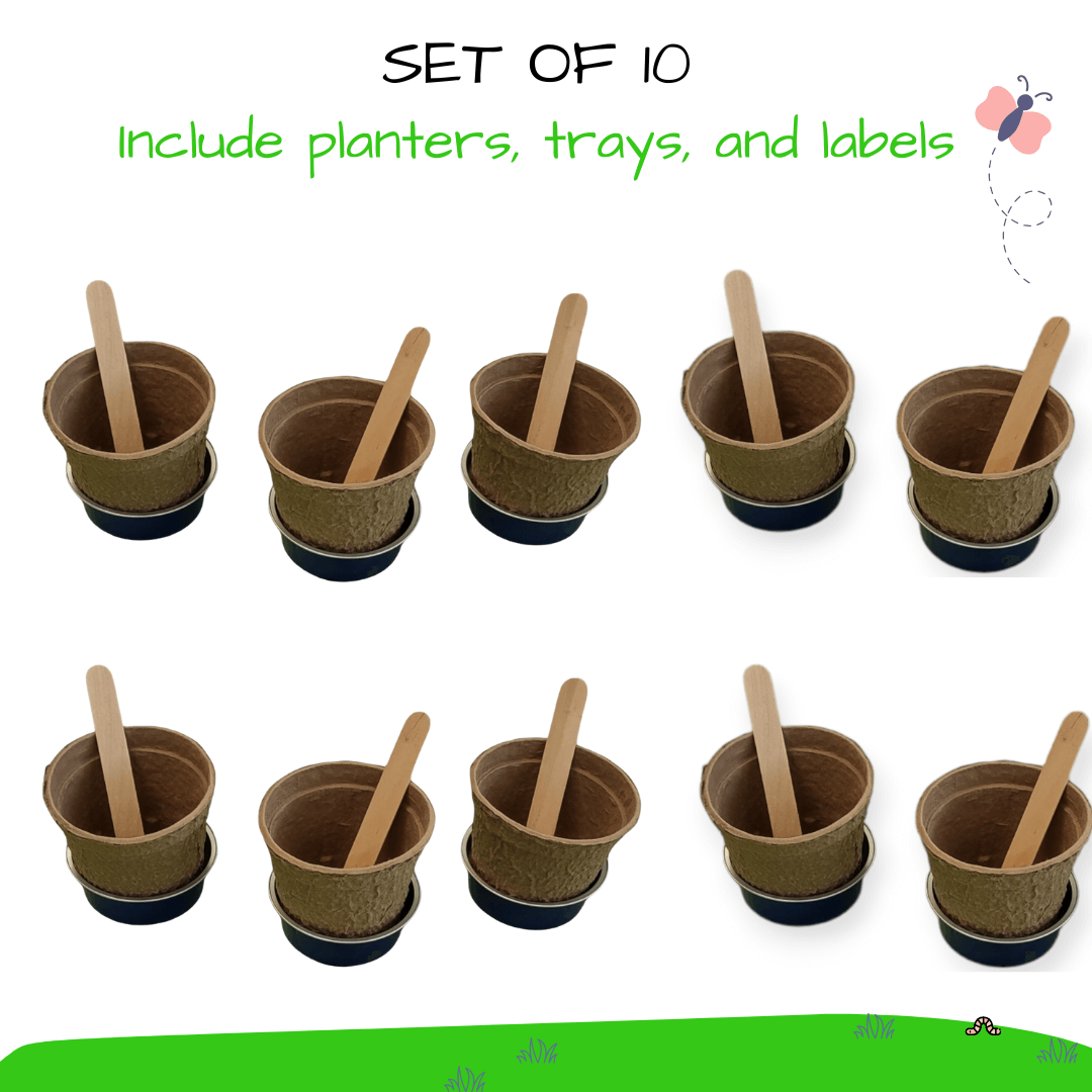 10 Kids Planter Sets