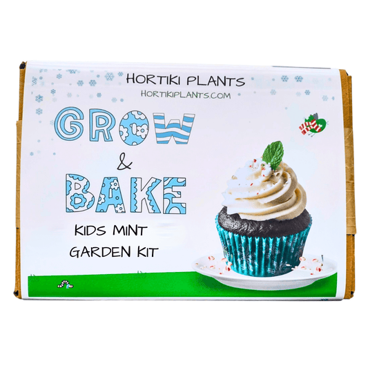Grow and Bake: Kids Organic Mint Garden Kit (Winter Holiday Edition)
