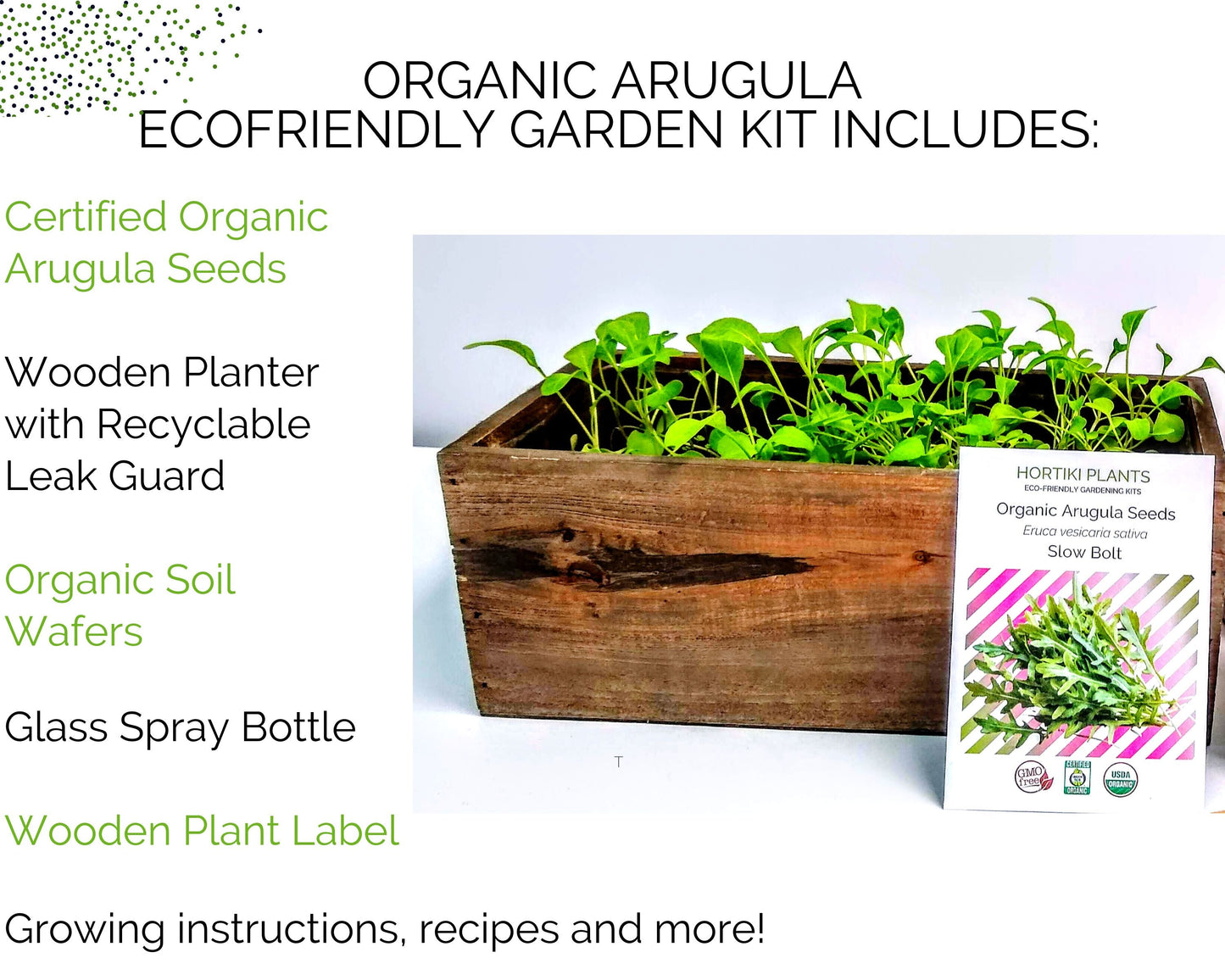 Organic Arugula Indoor Garden Kit - Corporate Gift