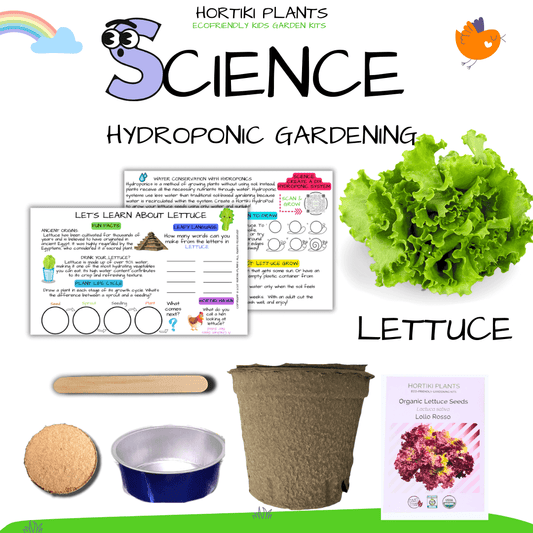 ✨NEW! Hortiki Plants Kids Garden Card + Grow Kit: Lettuce