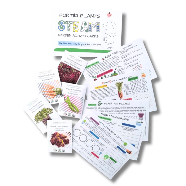 STEAM Activity Seed Cards - Complete 5 Veggie Set