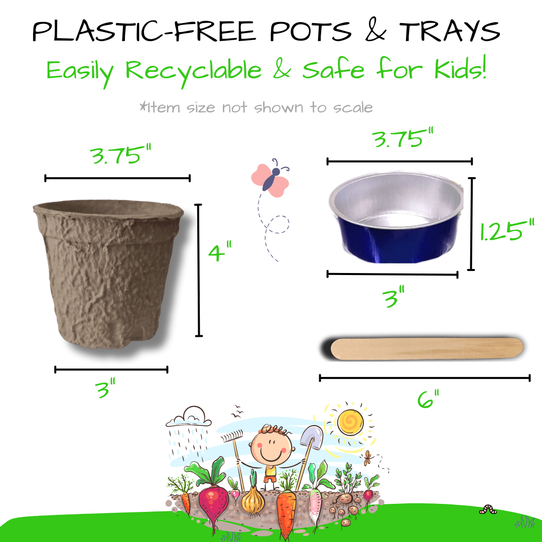 Grow and Bake: Kids Organic Mint Garden Kit (Winter Holiday Edition)