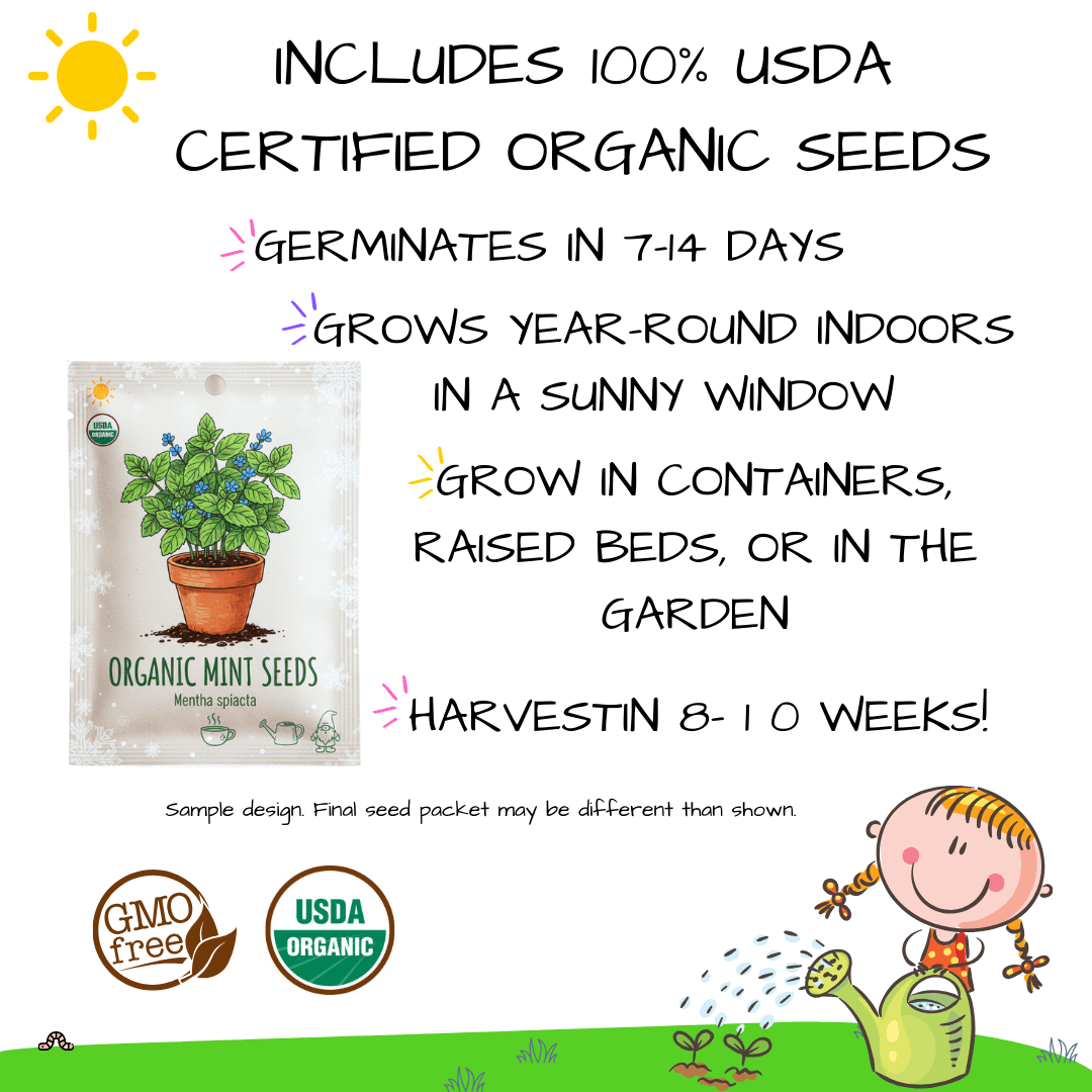 Grow and Bake: Kids Organic Mint Garden Kit (Winter Holiday Edition)