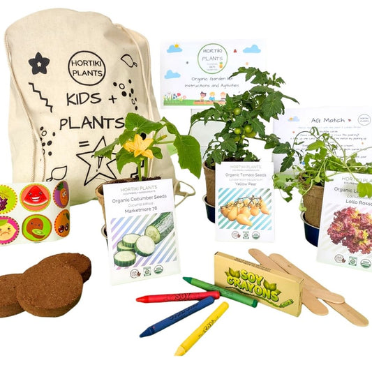 Kids Organic Garden Kit (MultiOrder Discount) - Lettuce Tomato Cucumber