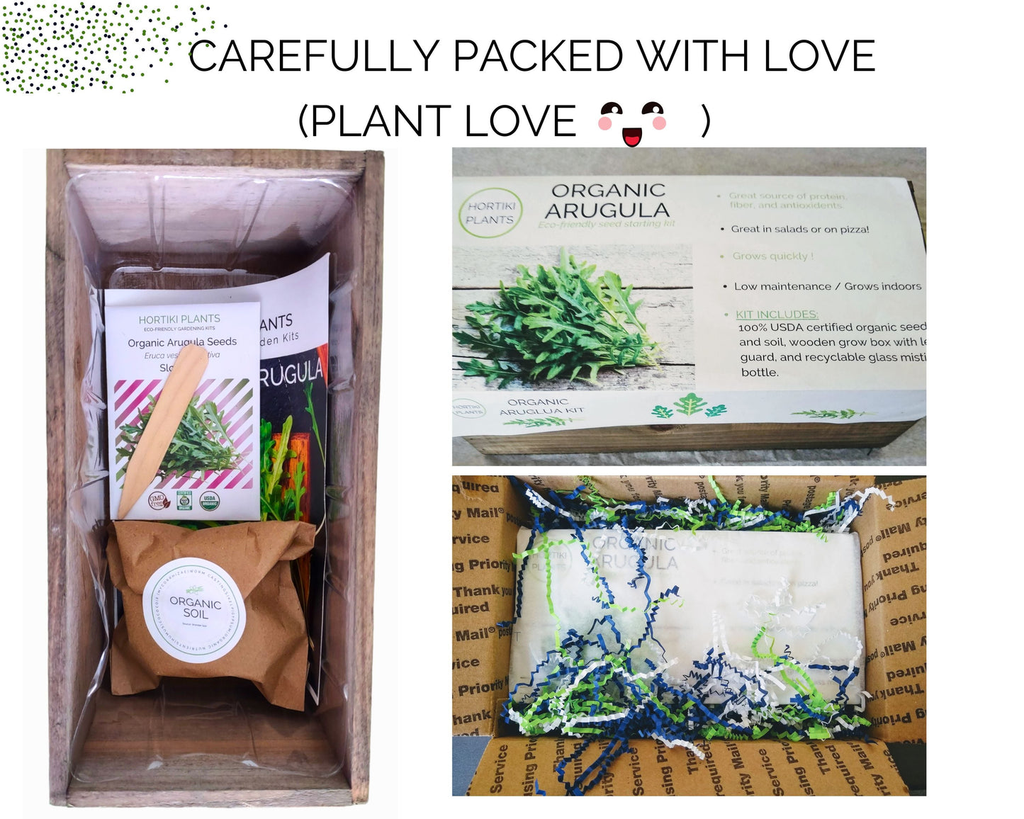 Organic Arugula Indoor Garden Kit - Corporate Gift