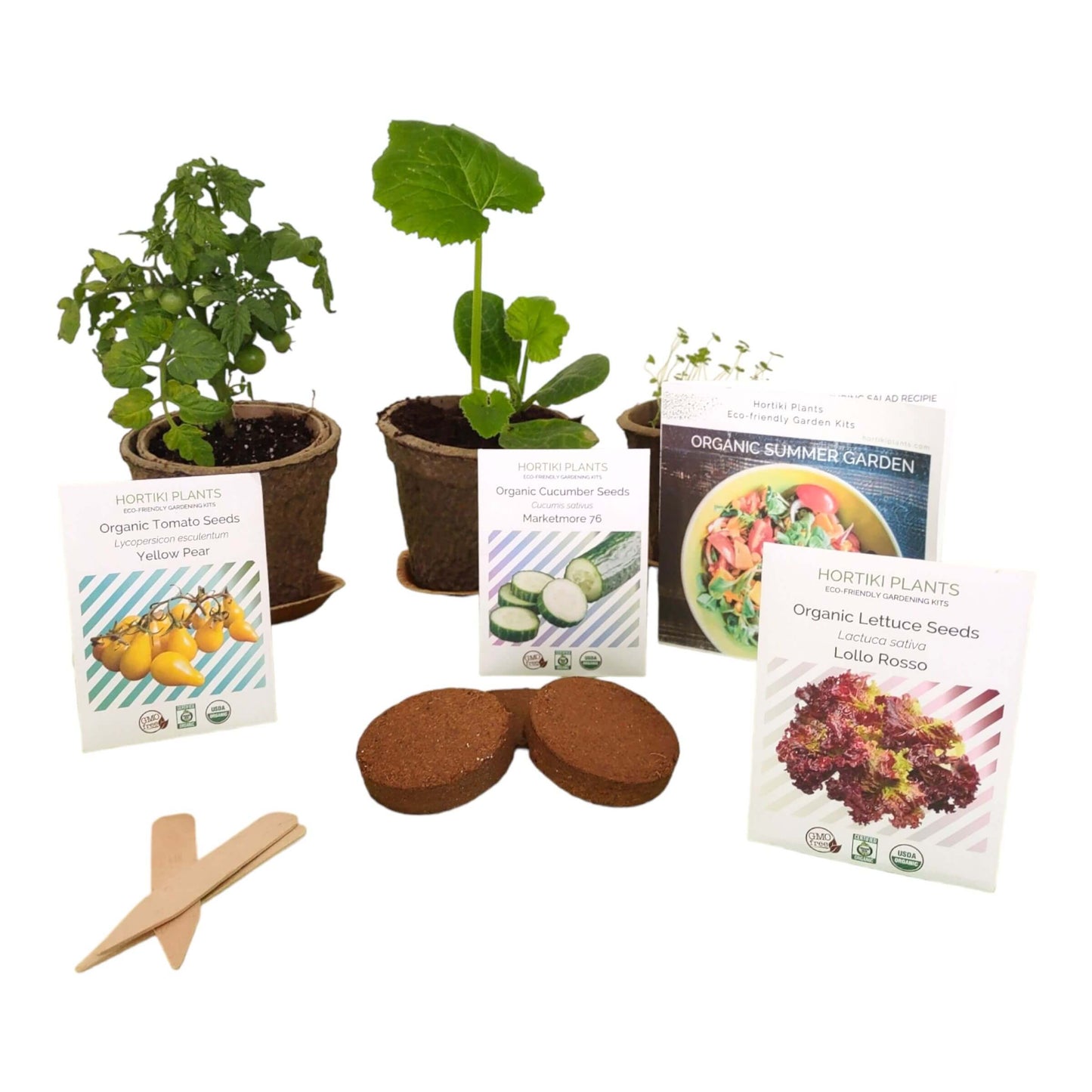 Organic Summer Garden Kit. Lettuce, Cucumber, Tomato Seed Starting Kit.
