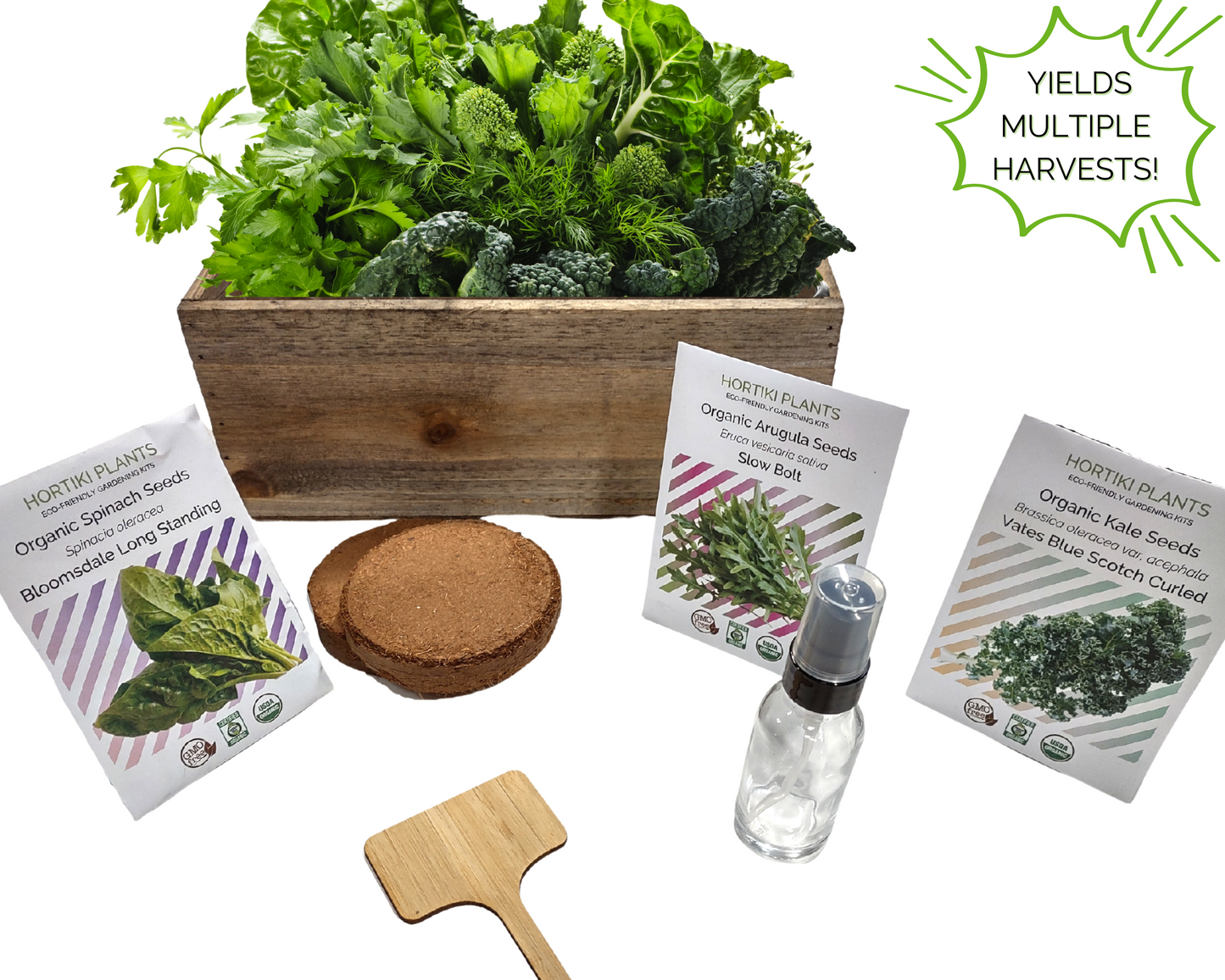 Green Smoothie Organic Garden Kit: Arugula, Spinach, Kale - Corporate Gift