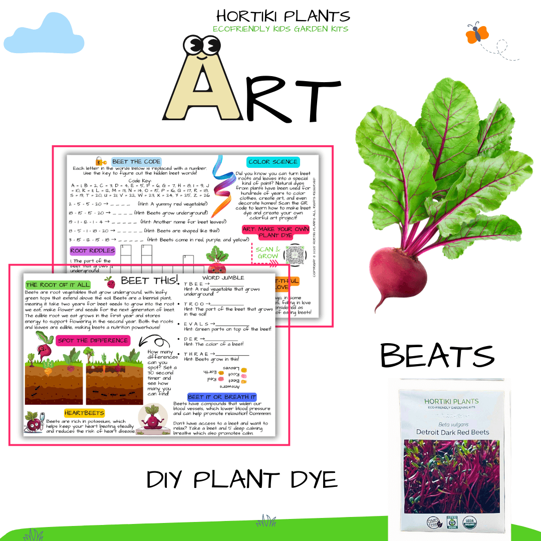 STEAM Activity Seed Cards - Complete 5 Veggie Set