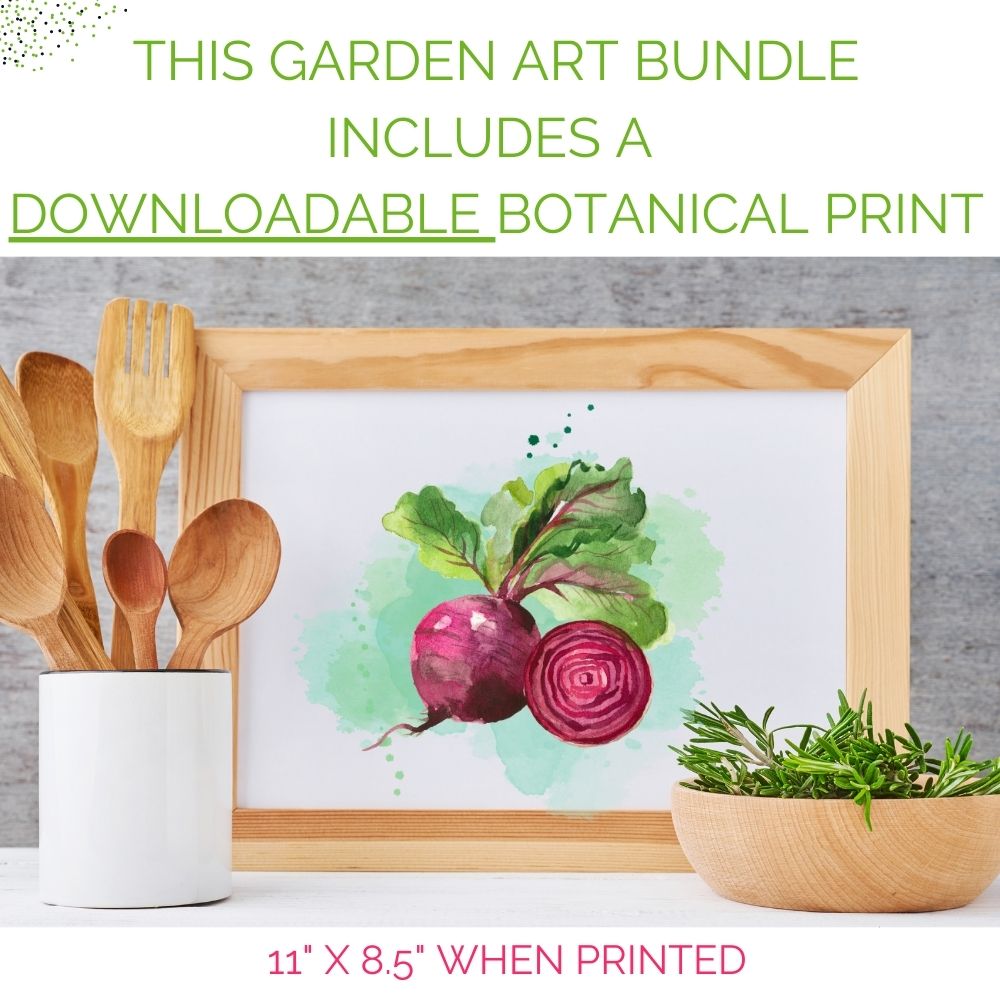 Organic Beets Garden Kit - Corporate Gift
