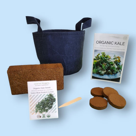 Organic Kale Container Garden Kit -  Corporate Gift