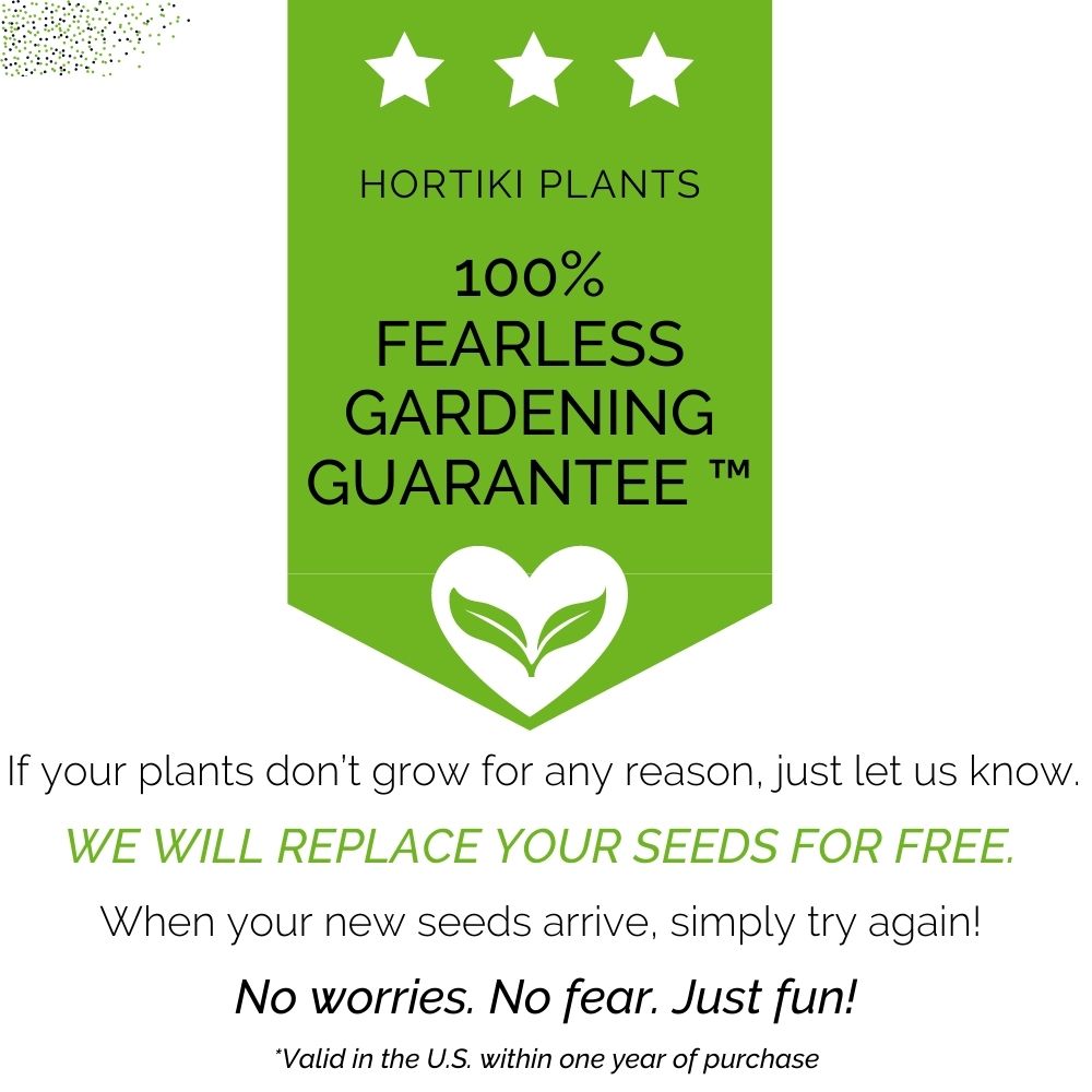 ✨NEW! Hortiki Plants Kids Garden Card + Grow Kit: Lettuce