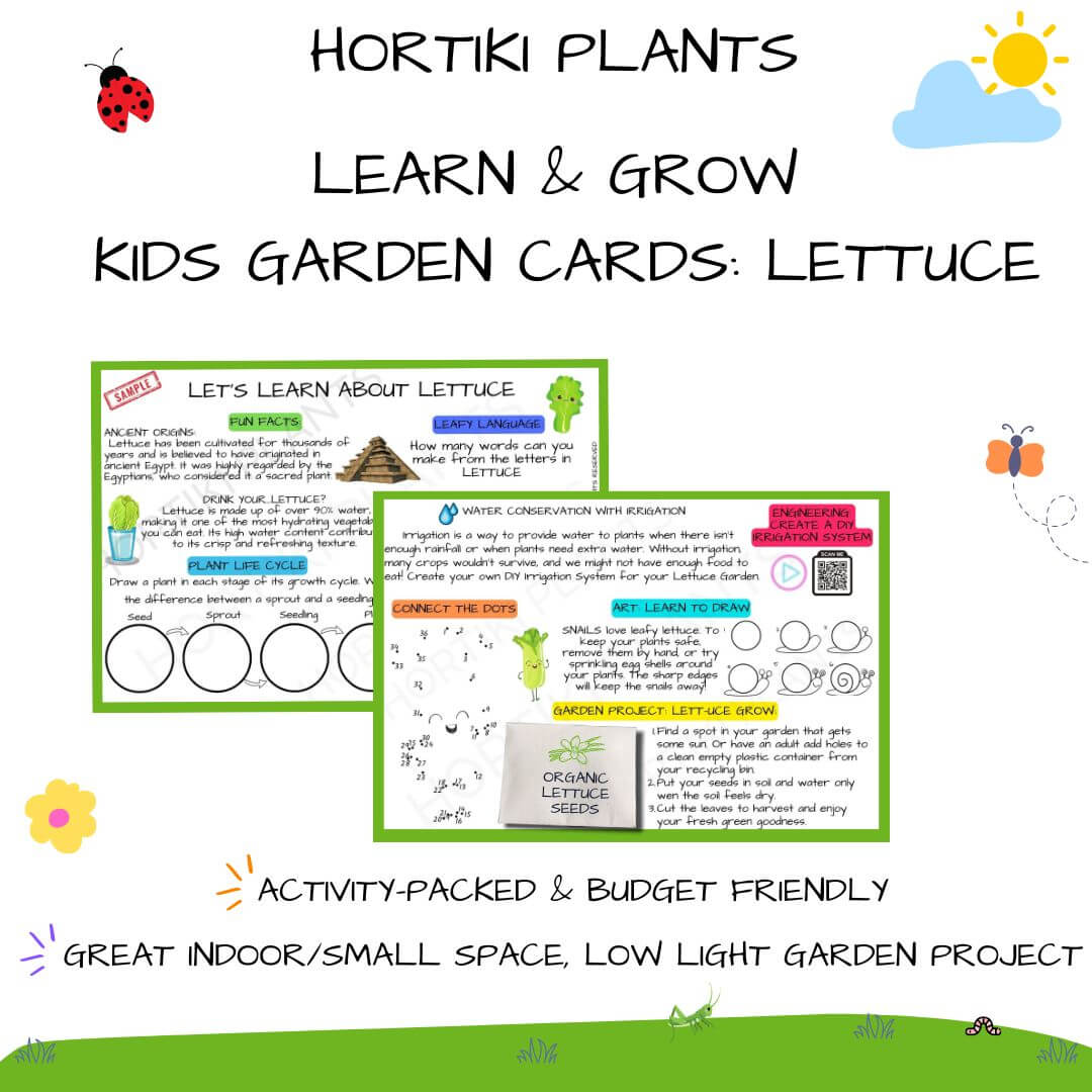 ✨NEW! Hortiki Plants Kids Garden Seed Card: Lettuce