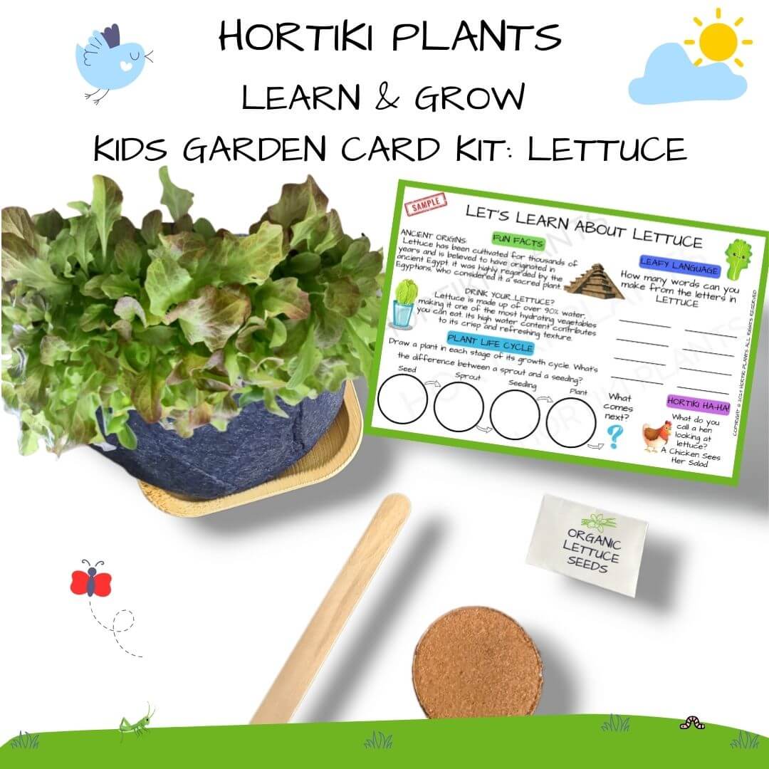 ✨NEW! Hortiki Plants Kids Garden Card + Grow Kit: Lettuce