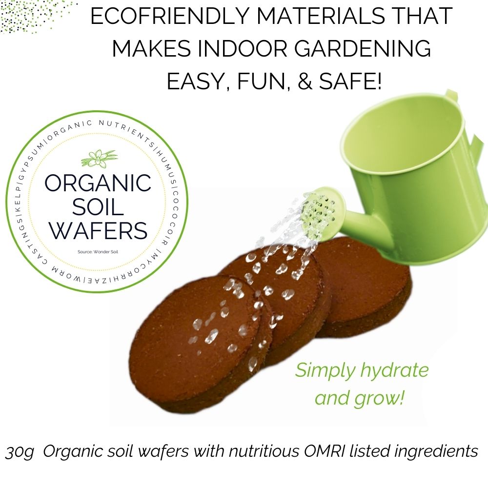 Organic Microgreens Container Garden Kit - Corporate Gift