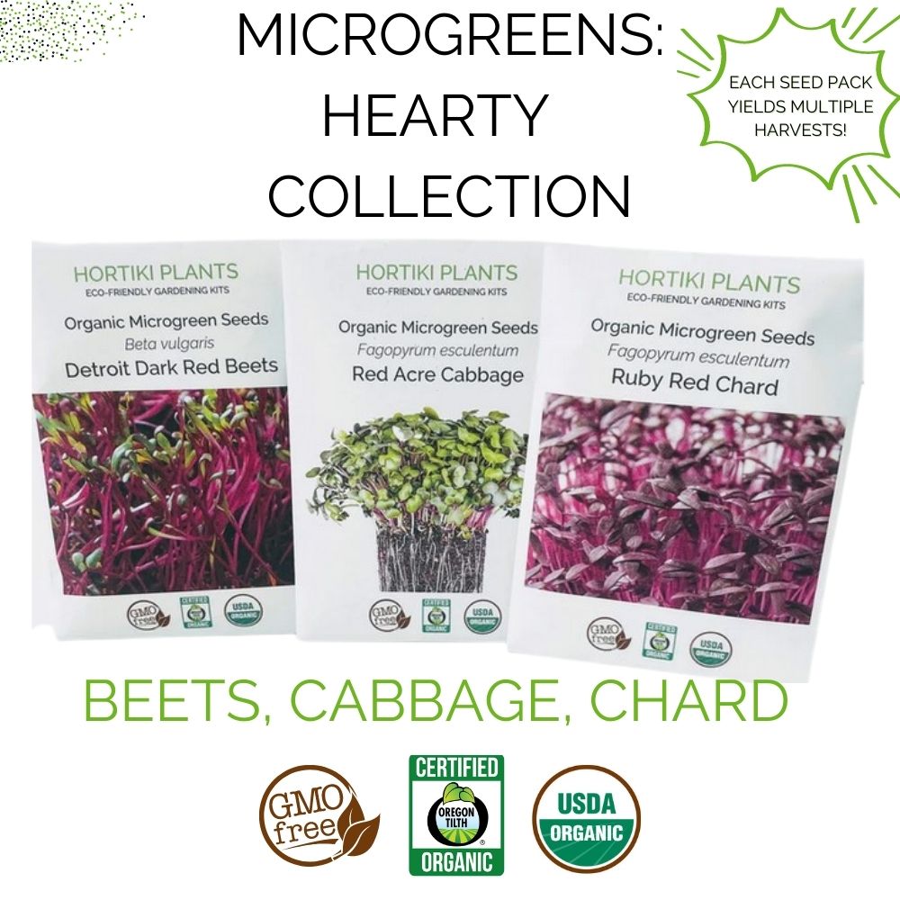 Organic Microgreens Container Garden Kit - Corporate Gift