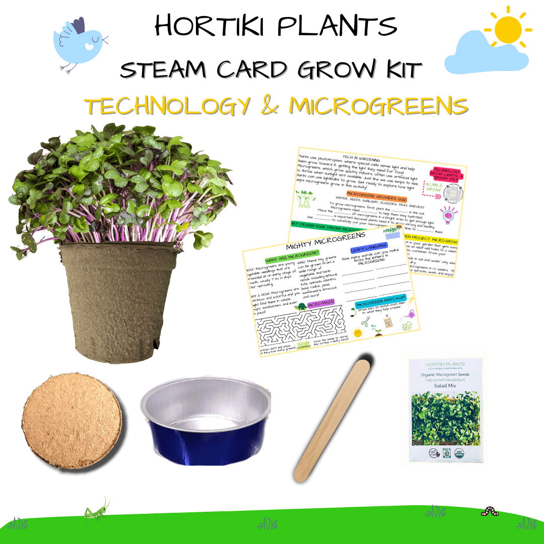 ✨Microgreen Card + Grow Kit (Technology - STEAM Series)