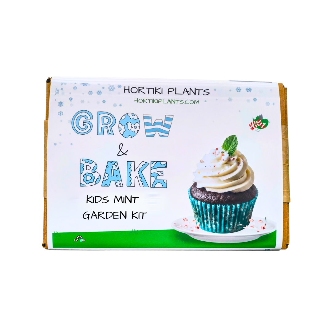 Box with decorative cover with a chocolate cupcake with white frosting and mint and candy cane sprinkles. Text: Hortiki Plants Grow & Bake Kids Mint Garden Kit