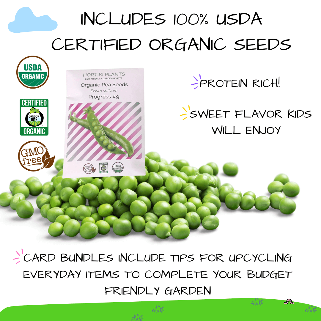 🫛 NEW! Kids Garden STEAM Activity Card: Peas (Pack of 5)