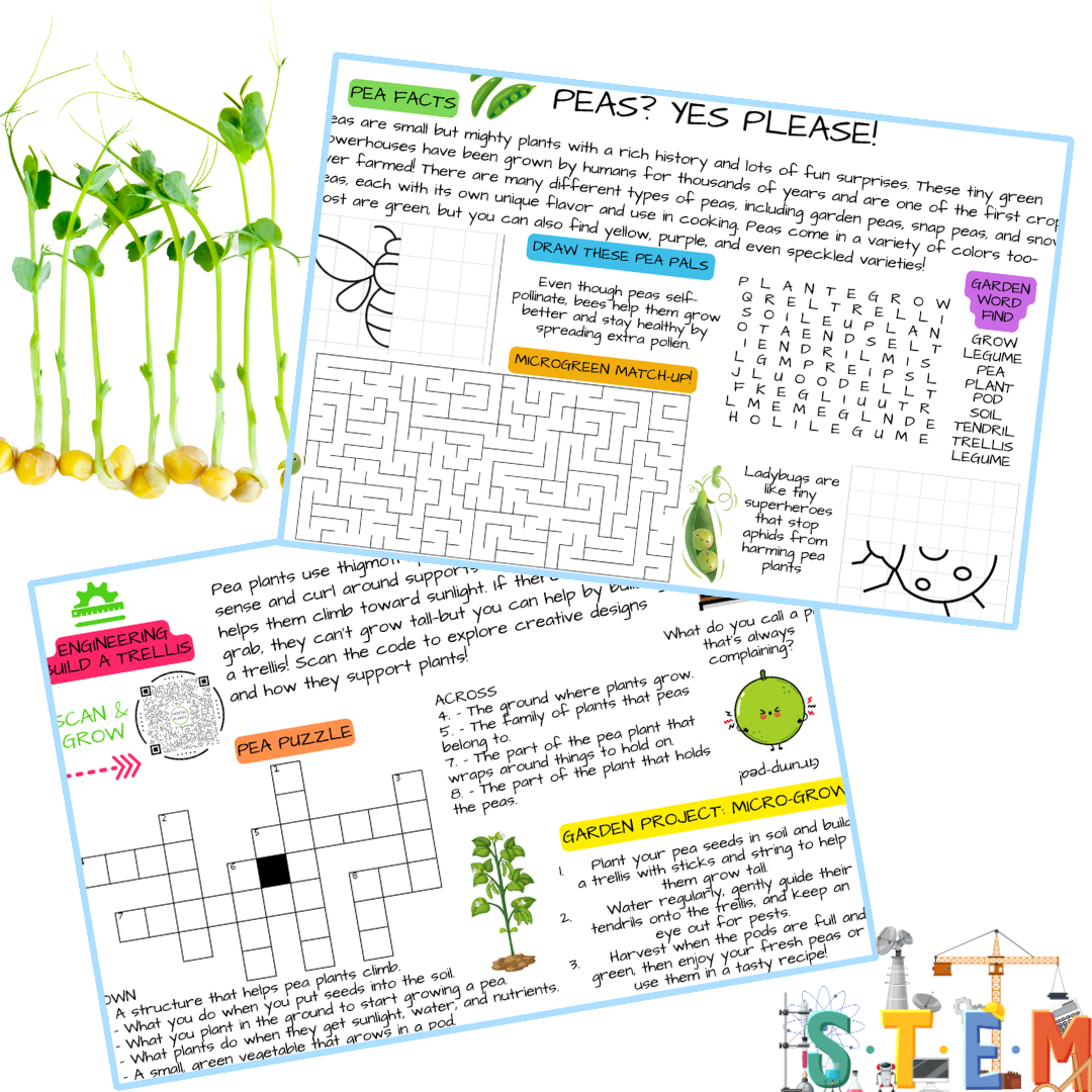 🫛 NEW! Kids Garden STEAM Activity Card: Peas (Pack of 5)