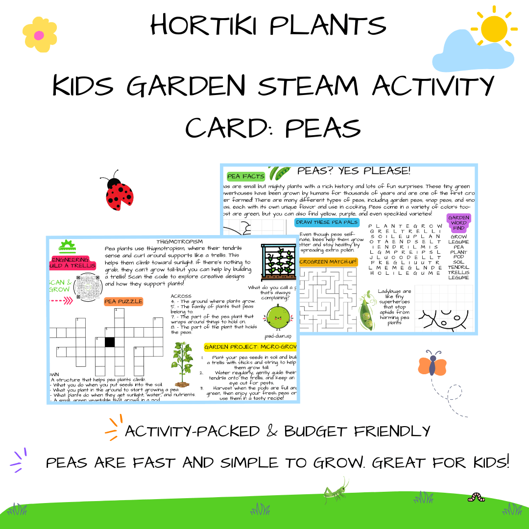 🫛 NEW! Kids Garden STEAM Activity Card: Peas (Pack of 5)