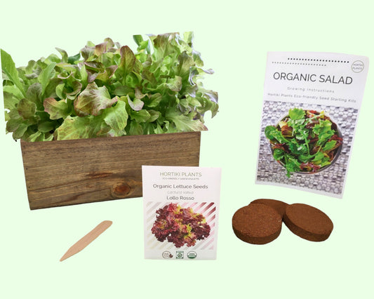 Organic Lettuce Garden Kit - Corporate Gift