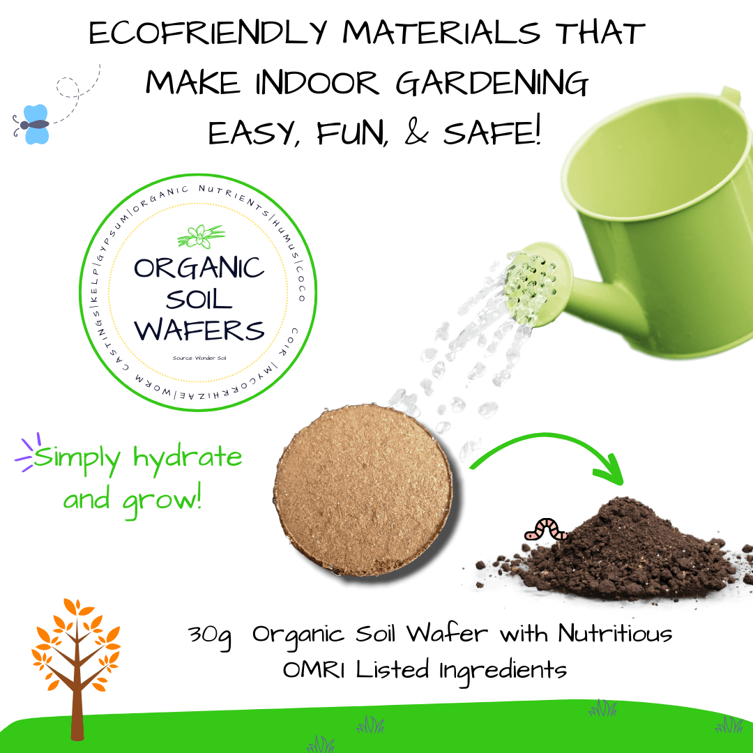 Grow and Bake: Kids Organic Mint Garden Kit (Winter Holiday Edition)