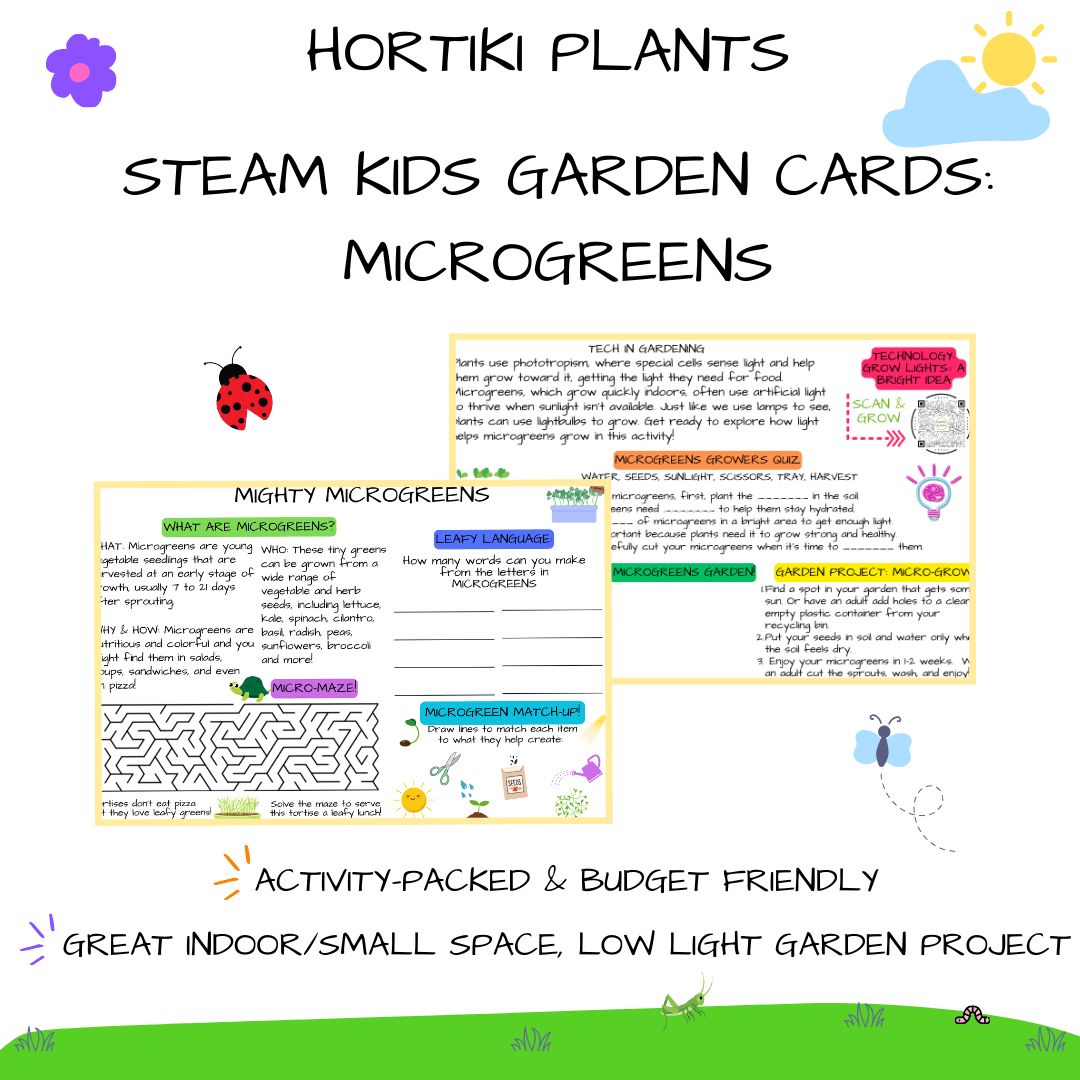 🔦NEW! Hortiki Plants Kids Garden Activity Card: Microgreens (Pack of 5)