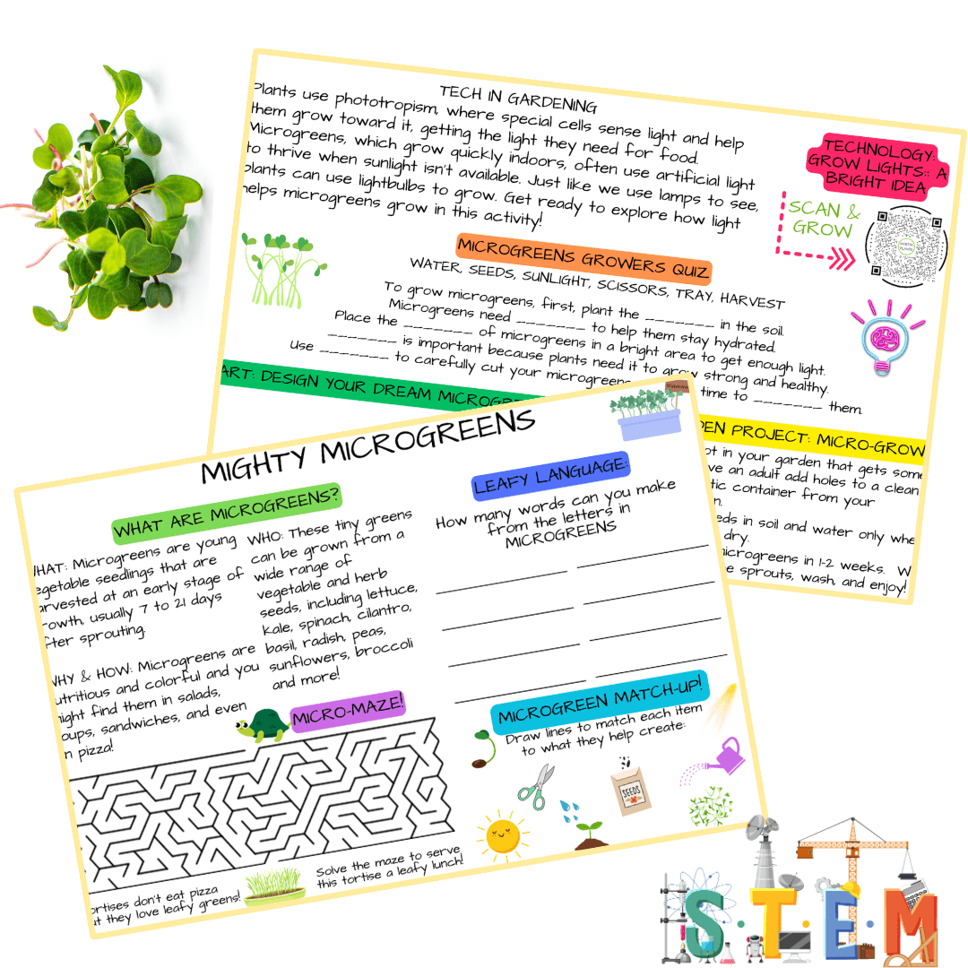 🔦NEW! Hortiki Plants Kids Garden Activity Card: Microgreens (Pack of 5)