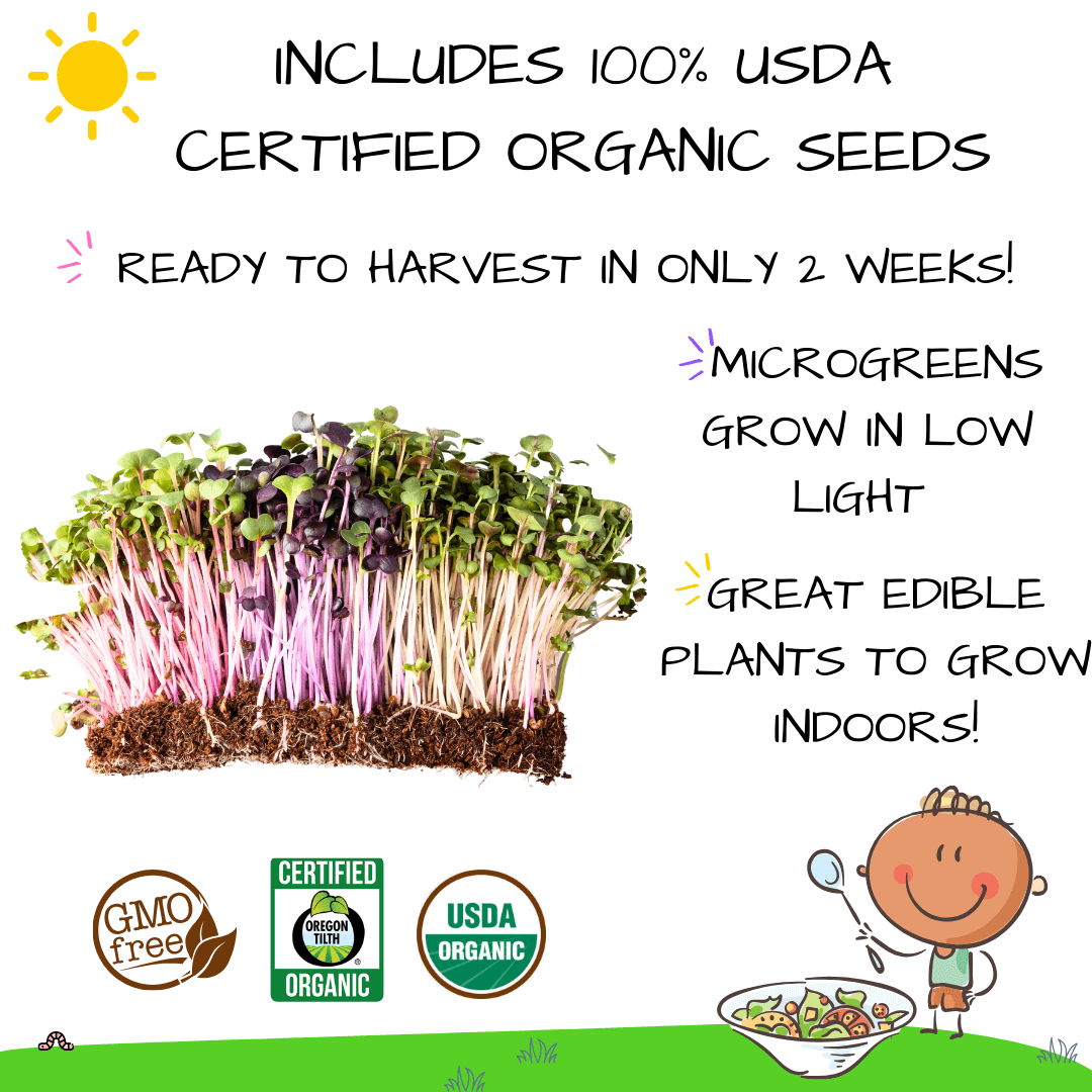 🔦NEW! Hortiki Plants Kids Garden Activity Card: Microgreens (Pack of 5)