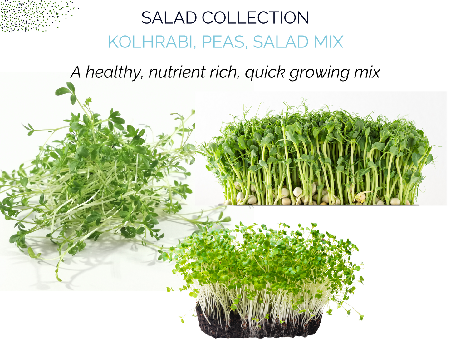 Organic Microgreens Container Garden Kit