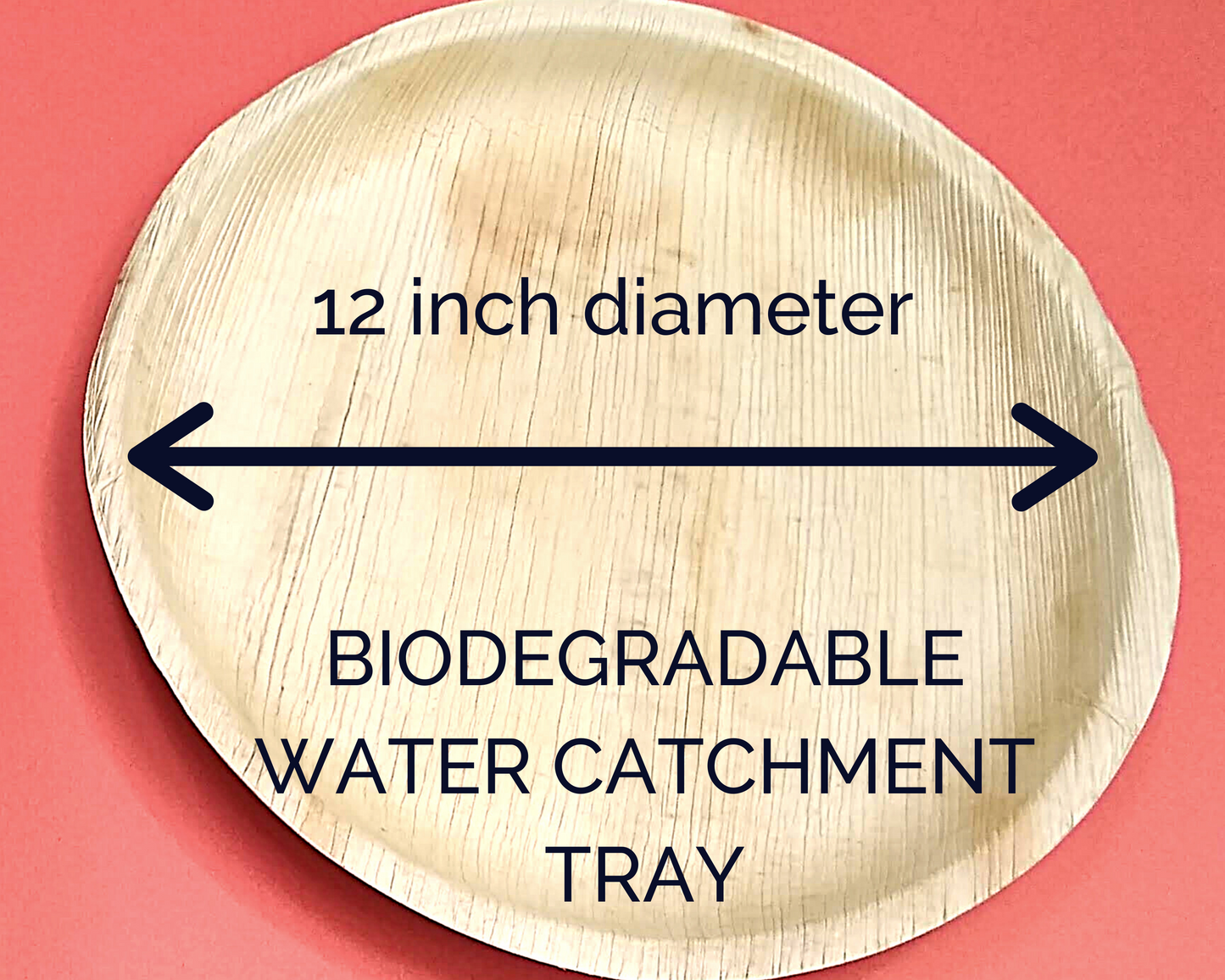 Large 12" Biodegradable Plant Trays